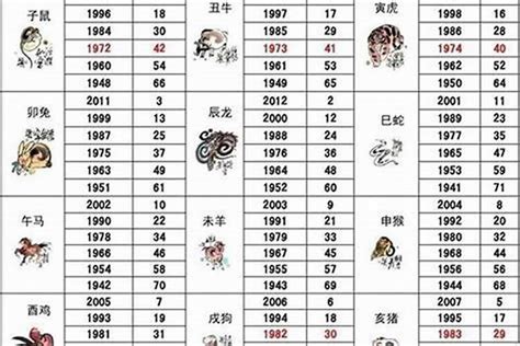 49属什么|49岁属什么生肖？